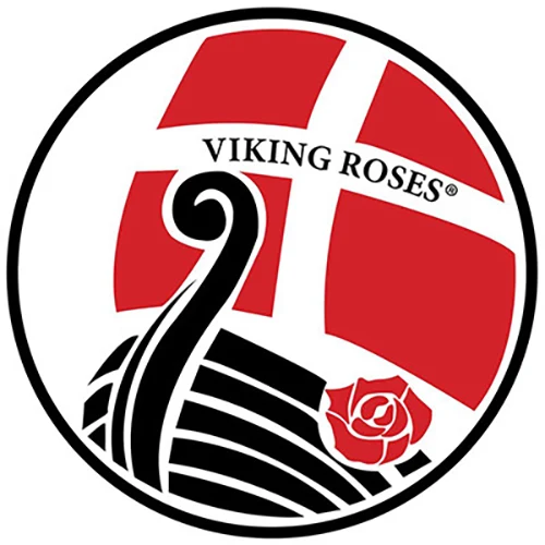 Viking Roses